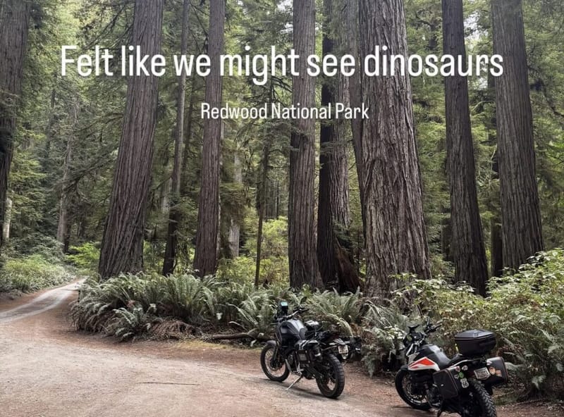 Two motorcycles parked on a dirt path among giant redwood trees at Redwood National Park, text overlay reads Felt like we might see dinosaurs